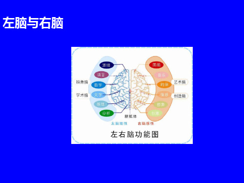 人体科学-左脑与右脑