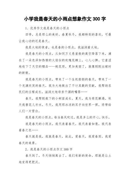 小学我是春天的小雨点想象作文300字_作文