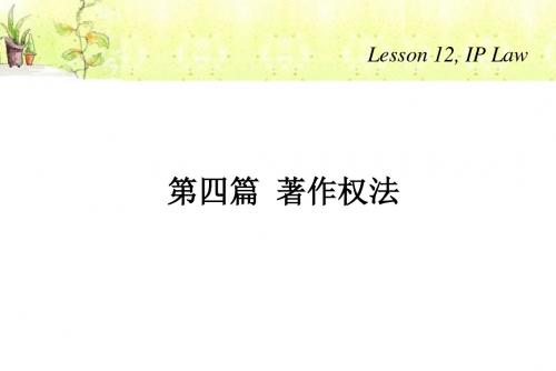 知识产权法12(02)-PPT精品文档