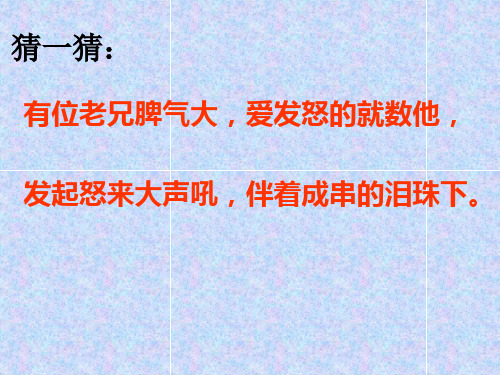 人教版二年级下册语文 《雷雨》ppt课件