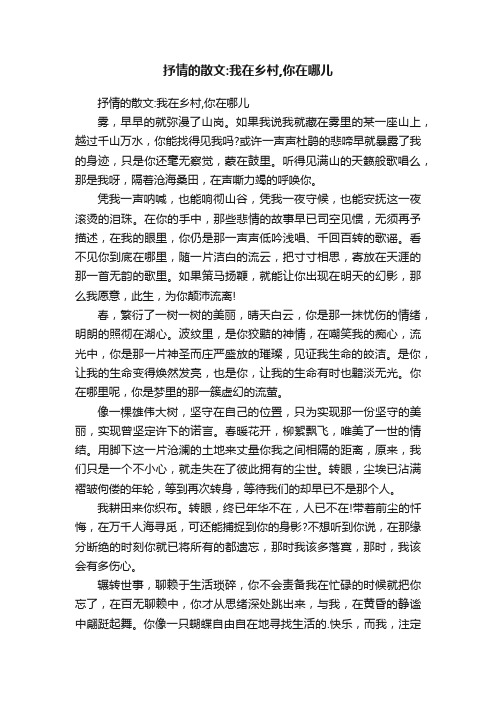 抒情的散文：我在乡村,你在哪儿