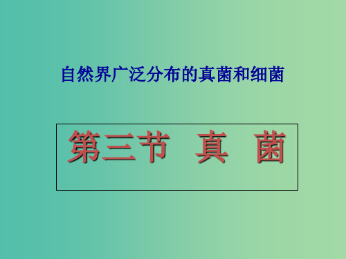 八年级生物上册 5.4.3 真菌课件 (新版)新人教版