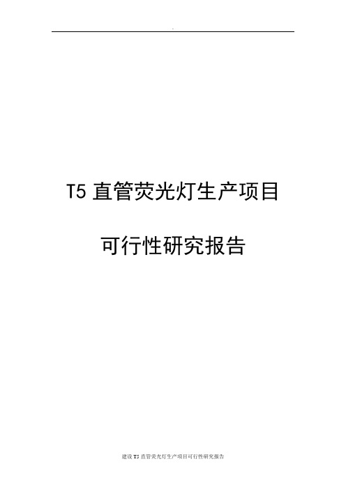 建设T5直管荧光灯生产项目可行性研究报告