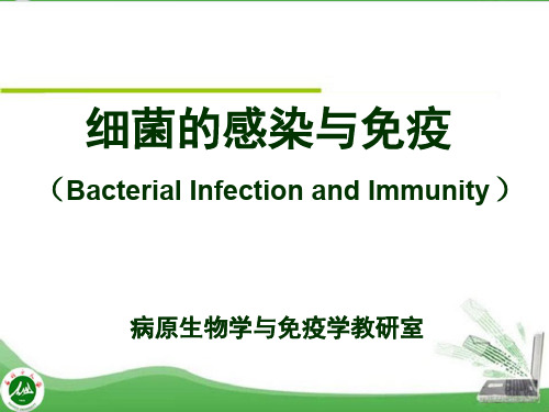 医学微生物学标准化课件  第6章