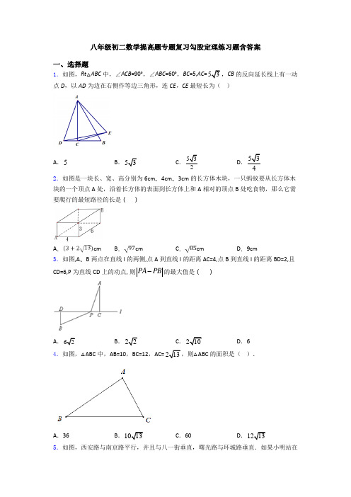 八年级初二数学提高题专题复习勾股定理练习题含答案