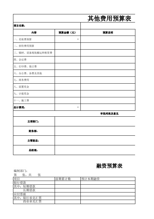 某公司融资及其他费用预算表