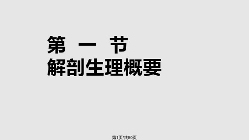 二十三章大肠肛管疾病病人的护理PPT课件