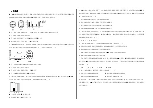 河北省定州中学2021届高三生物(人教版)一轮复习定时练：有丝分裂 Word版含答案