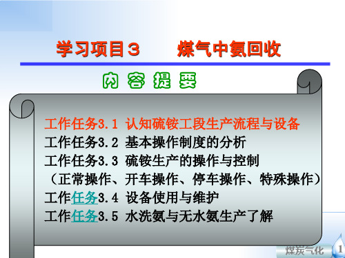 硫铵工段—认知硫铵工段生产流程与设备(焦炉煤气净化技术课件)