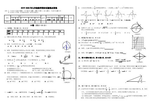 2019-2020年九年级数学期末试题卷及答案