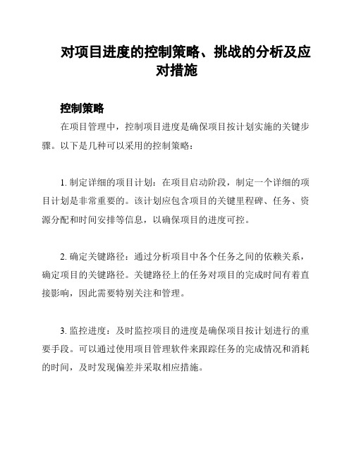 对项目进度的控制策略、挑战的分析及应对措施