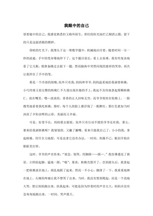 我眼中的自己_初中初三作文1000字