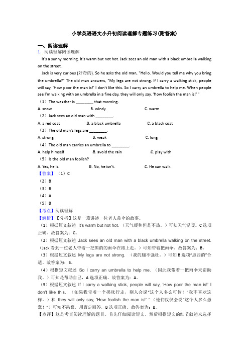 小学英语语文小升初阅读理解专题练习(附答案)