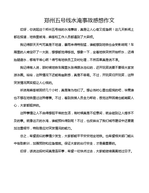 郑州五号线水淹事故感想作文