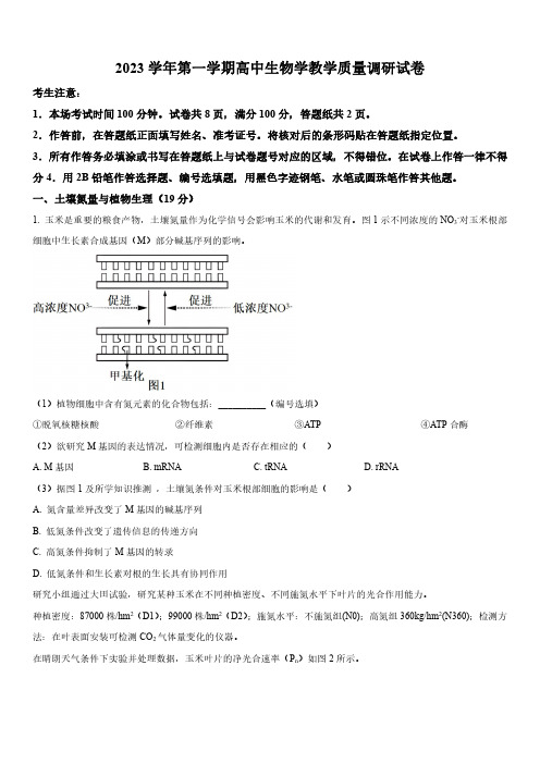 2024年上海市长宁区高三上学期期末高考一模生物试卷含详解