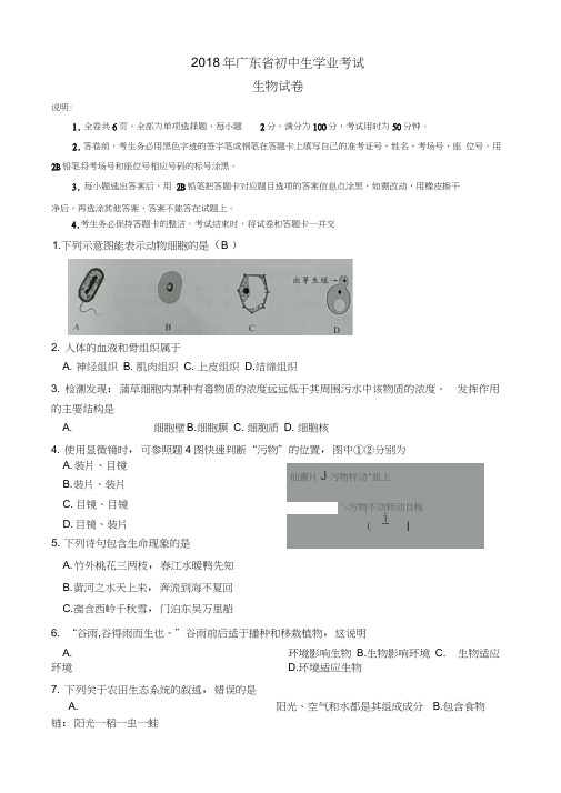 广东省2018年初中学业考试生物试题(word版,有答案)