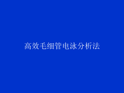 高效毛细管电泳分析法