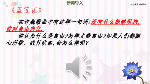 道德与法治八年级初二上册精品课件 遵守规则PPT课件