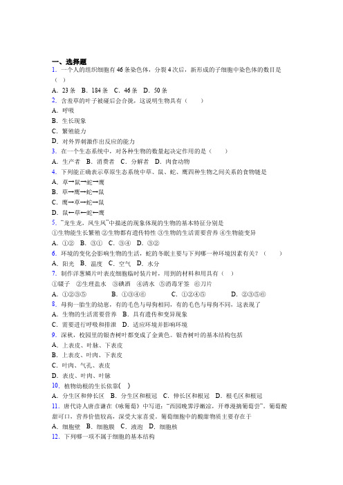 山东省泰安市2019年七上生物期末模拟试卷之二