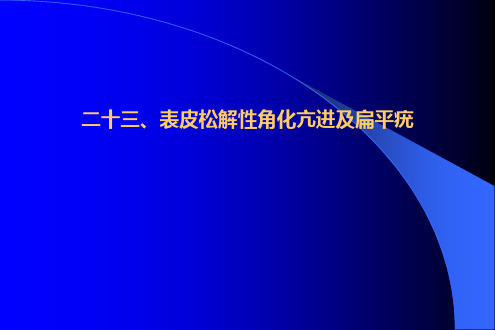 常见皮肤病的病理诊断及鉴别诊断四