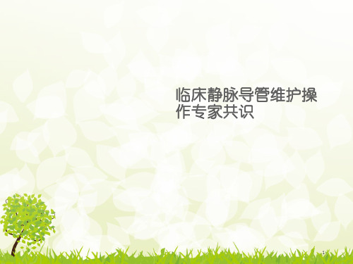 临床静脉导管维护操作专家共识 ppt课件
