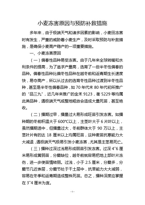 小麦冻害原因与预防补救措施