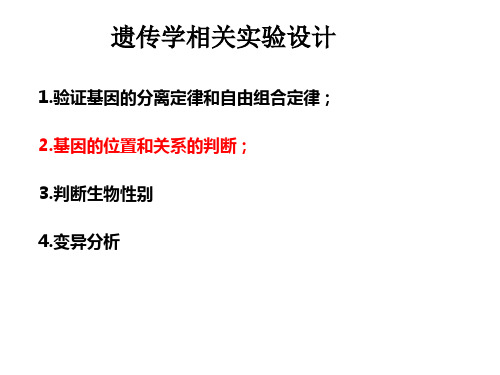 遗传实验设计--验证基因的位置2020