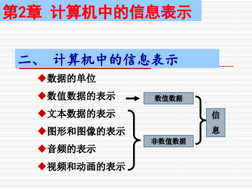 第四讲：计算机中的数据表示---2、数值型与非数值型数据