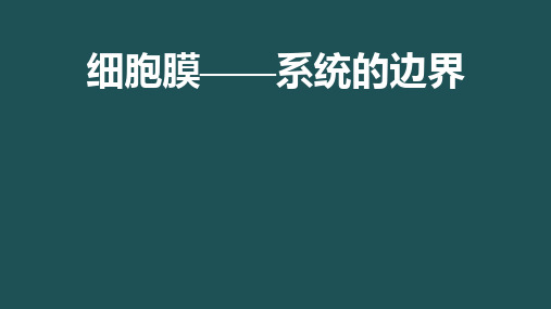 细胞膜——系统的边界说课课件