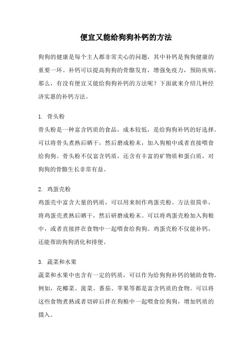 便宜又能给狗狗补钙的方法