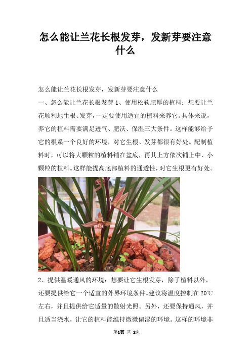 怎么能让兰花长根发芽，发新芽要注意什么