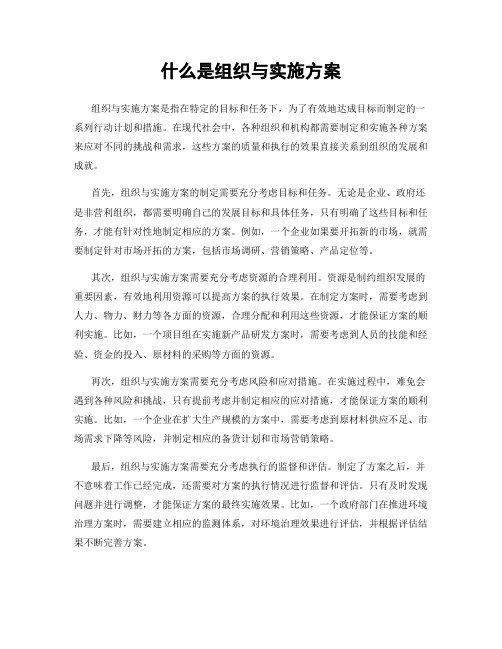 什么是组织与实施方案