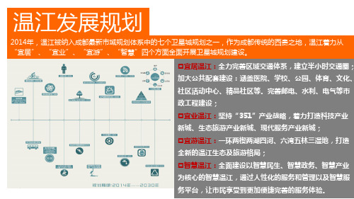 温江发展规划方案