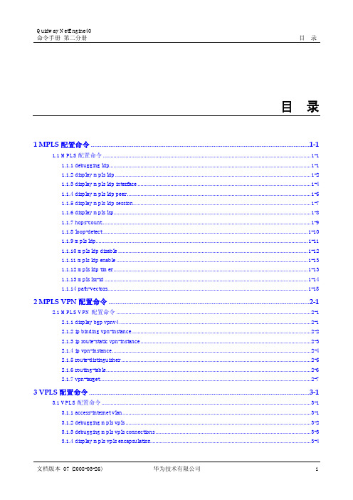 01-07 MPLS命令(NE40)