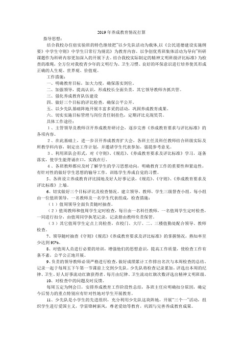 2019年养成教育情况打算