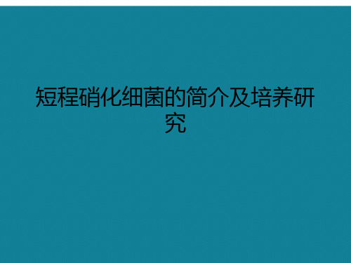 短程硝化细菌的简介及培养研究