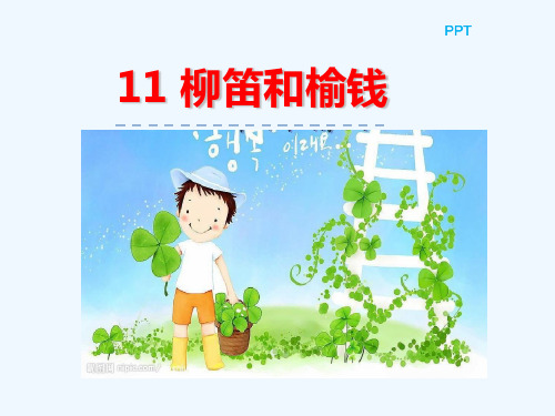 PPT11柳笛和榆钱PPT