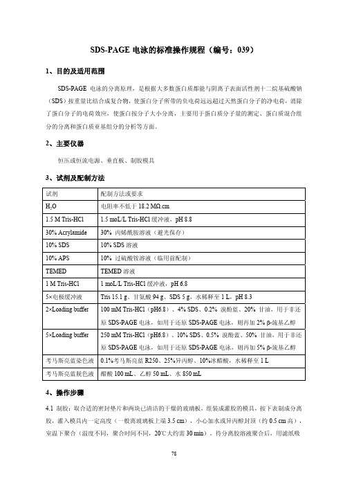 SDS-PAGE电泳的标准操作规程