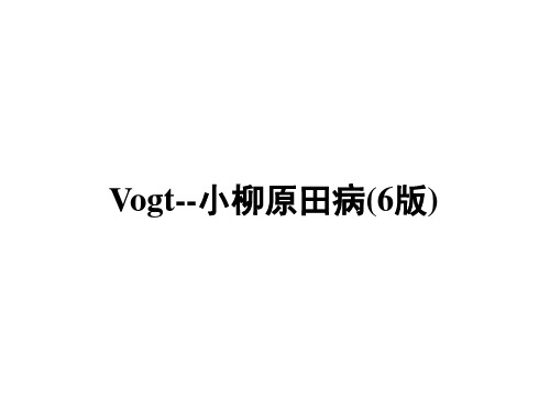 Vogt--小柳原田病(6)