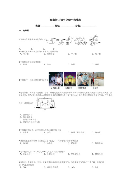 海南初三初中化学中考模拟带答案解析
