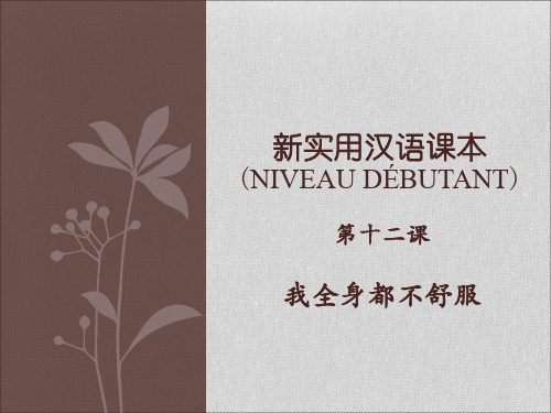 《当代中文》教学PPT课件 第十二课 我全身都不舒服(2)