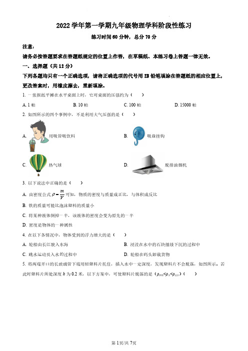 上海市嘉定区2022-2023学年九年级上学期物理学科期中考试题(原卷版)