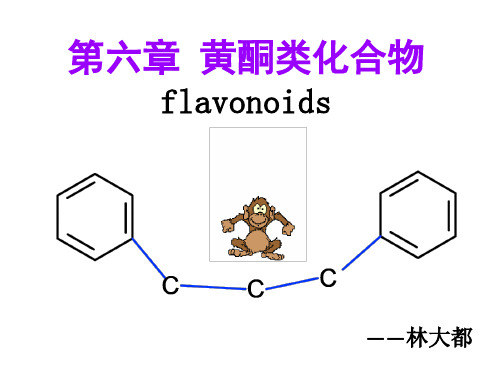 第六章 黄酮类