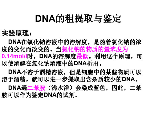 高二生物dna的粗提取与鉴定