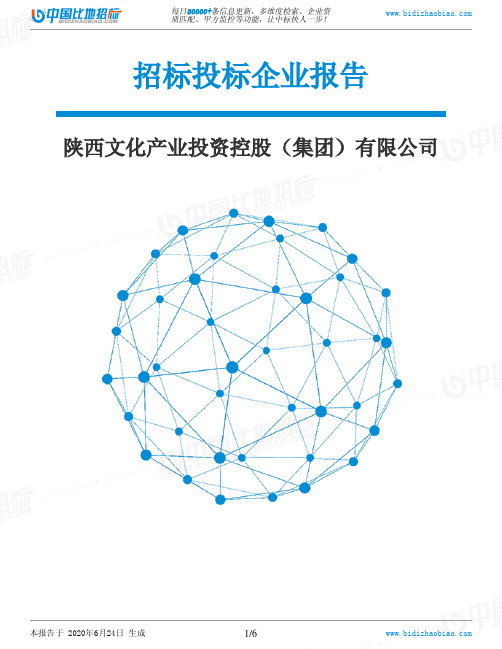 陕西文化产业投资控股(集团)有限公司-招投标数据分析报告