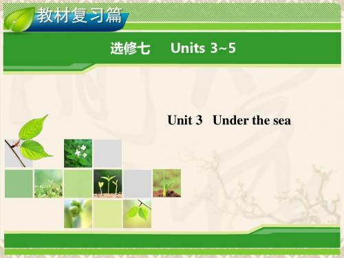 高考英语一轮复习 Unit 3 Under the sea指导课件 新人教版选修7