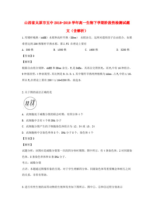 山西省太原市五中2018_2019学年高一生物下学期阶段性检测试题文(含解析)