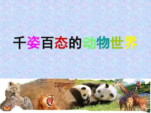 2018届中考生物复习课件：千姿百态的动物世界-(共46张)