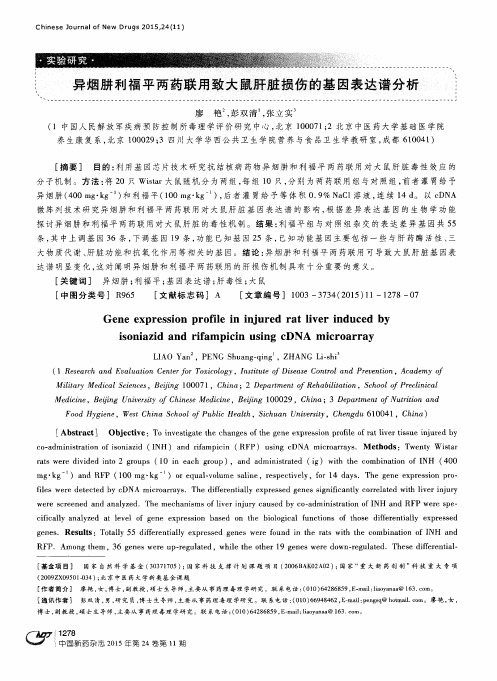 异烟肼利福平两药联用致大鼠肝脏损伤的基因表达谱分析