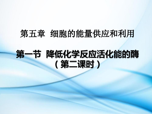 降低化学反应活化能的酶 (第二课时 酶的特性)课件-高一生物人教版(2019)必修1